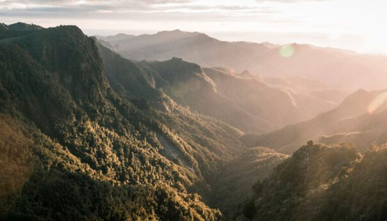 A Fé que Move Montanhas e Cura Corações