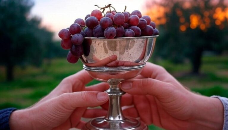 O que Jesus quis dizer sobre não beber do fruto da vide?